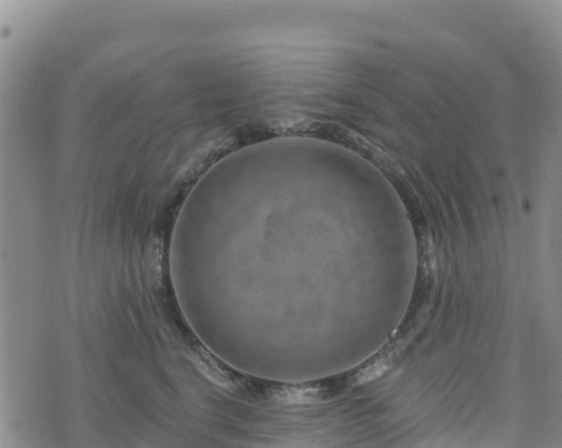 X0000074340664200609011629