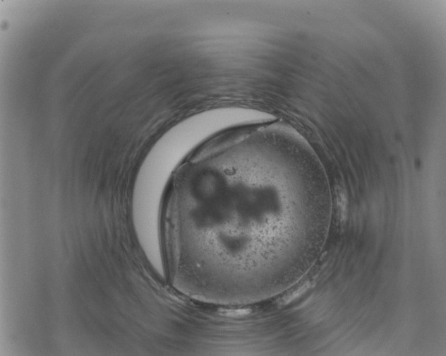 X0000074340665200609011629