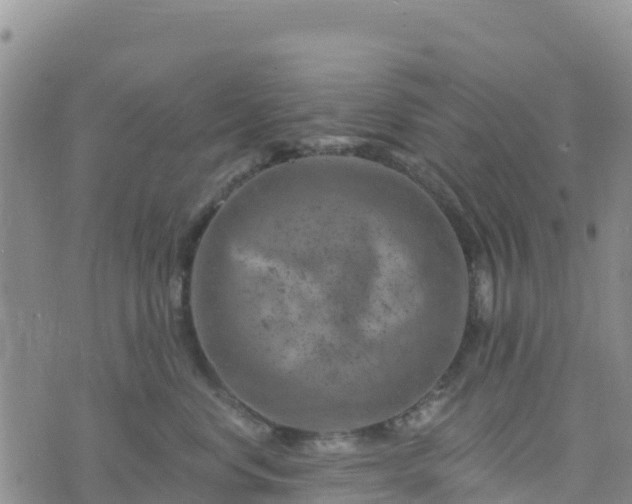 X0000074340668200609011629