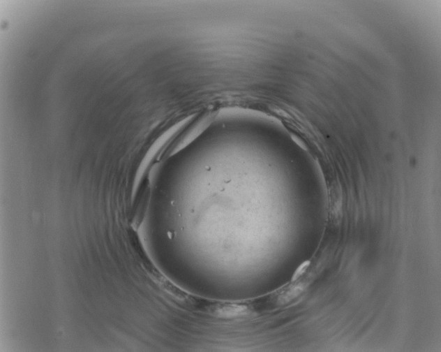 X0000074340669200609011629