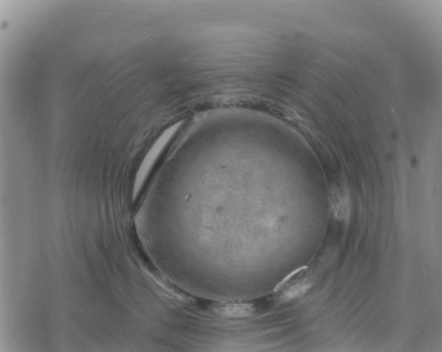 X0000074340670200609011629