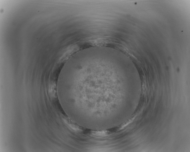 X0000074340671200609011629