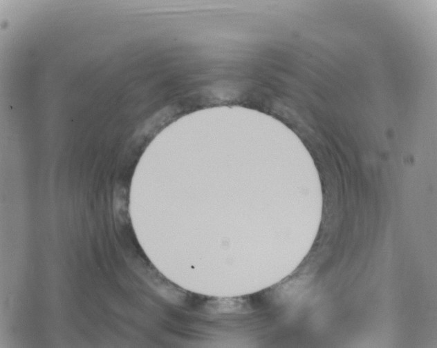 X0000074340672200609011629