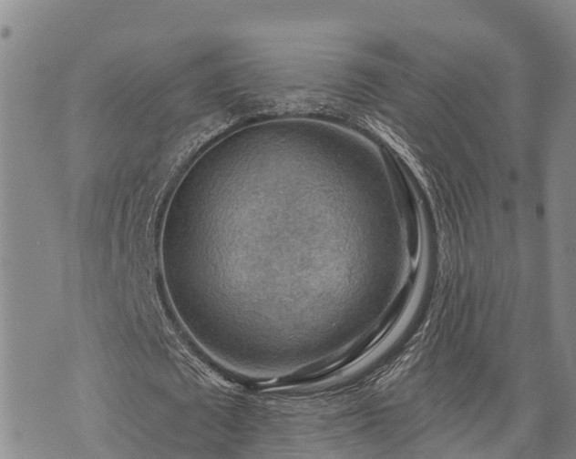 X0000074340673200609011629