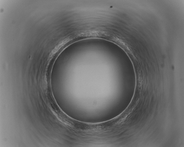 X0000074340674200609011628