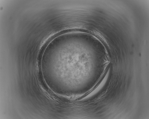 X0000074340676200609011628