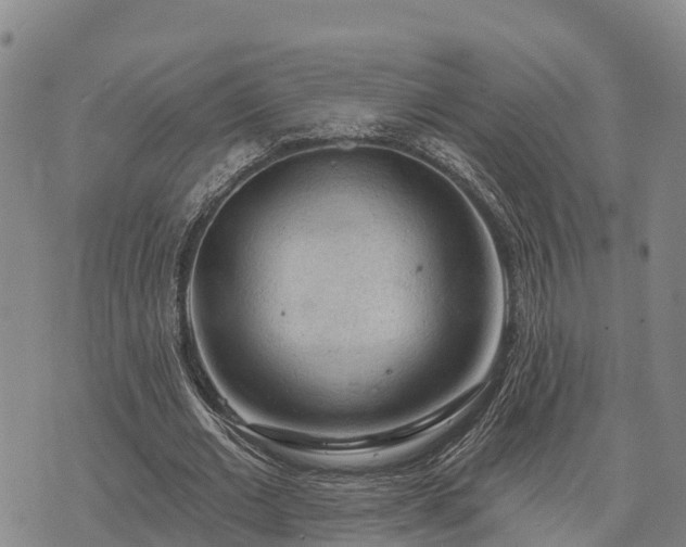 X0000074340677200609011628