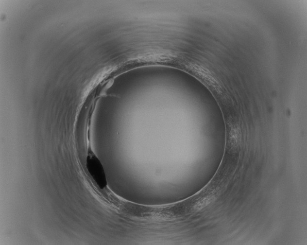 X0000074340678200609011628