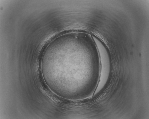 X0000074340680200609011628