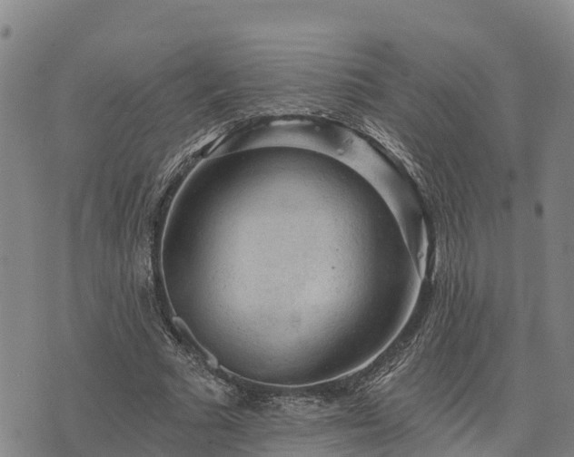 X0000074340681200609011628