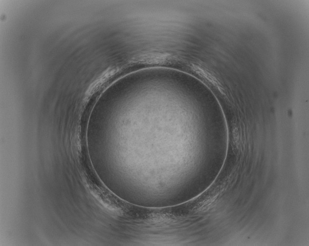 X0000074340682200609011628