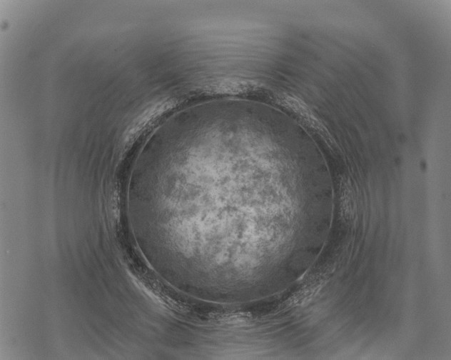 X0000074340683200609011628