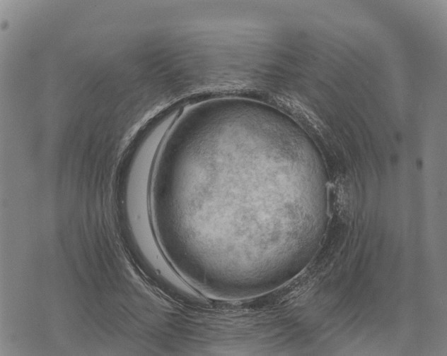 X0000074340684200609011628