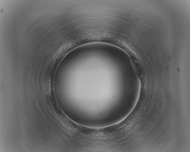 X0000074340685200609011628