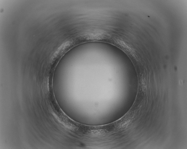 X0000074340686200609011628