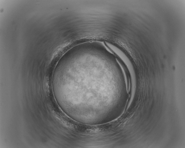 X0000074340688200609011628