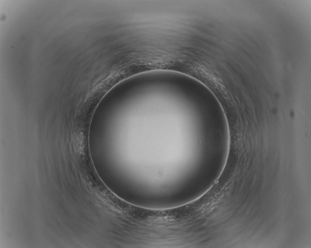 X0000074340689200609011628