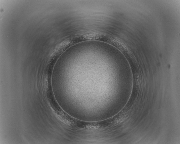 X0000074340690200609011628