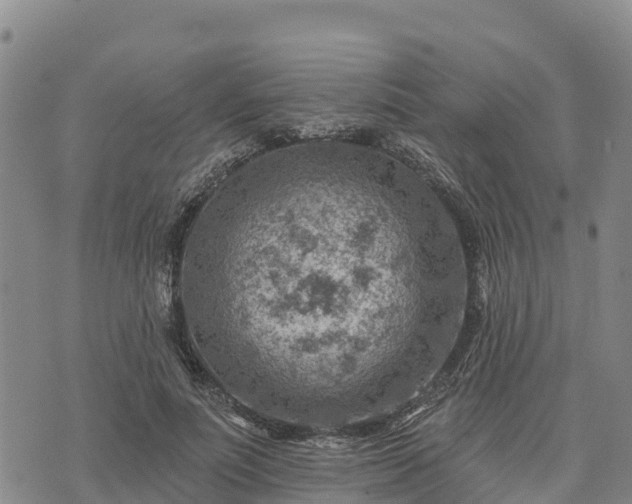 X0000074340691200609011628