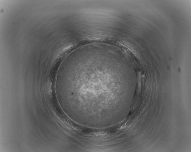 X0000074340692200609011628