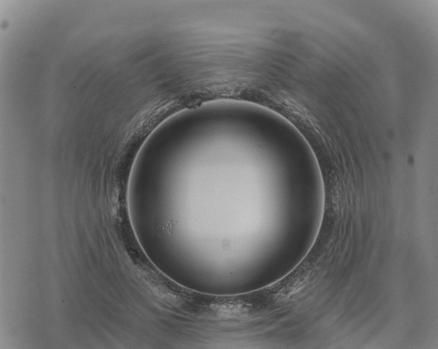 X0000074340693200609011628