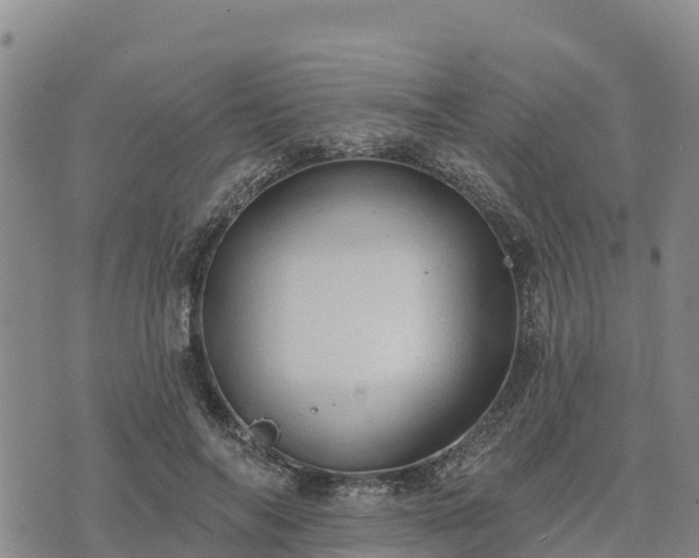 X0000074340694200609011628