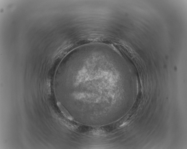 X0000074340696200609011628