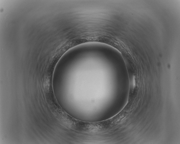 X0000074340697200609011628