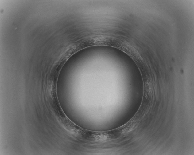 X0000074340698200609011628