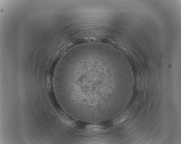 X0000074340699200609011628