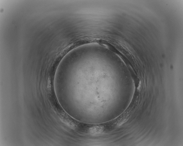 X0000074340700200609011628