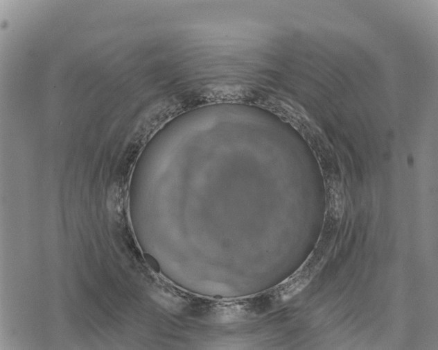 X0000074340701200609011628