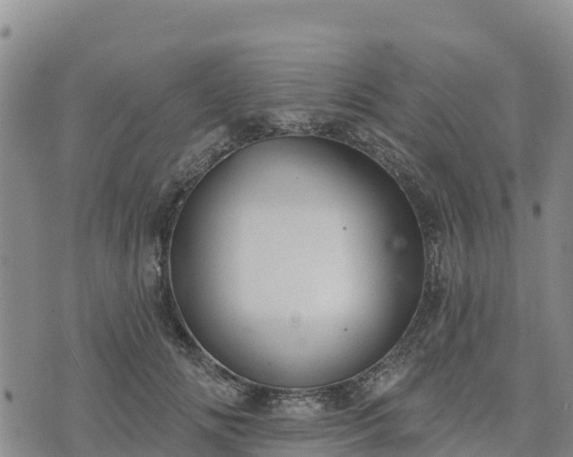 X0000074340702200609011628