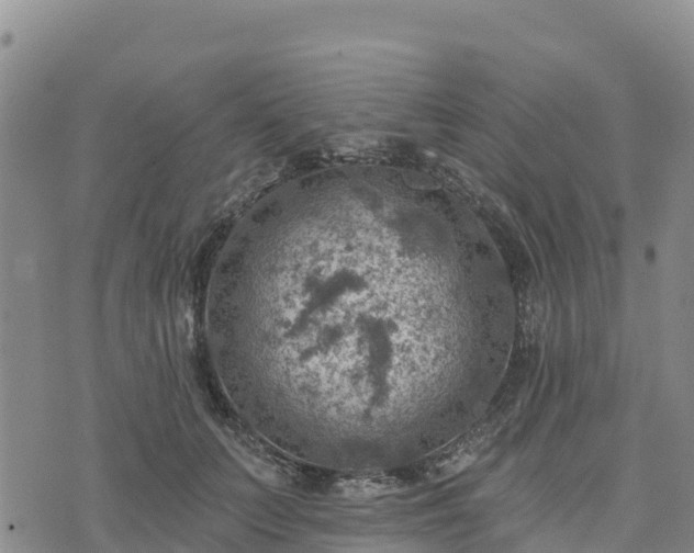 X0000074340703200609011628