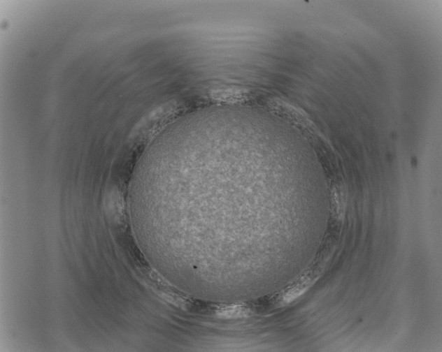 X0000074340705200609011628