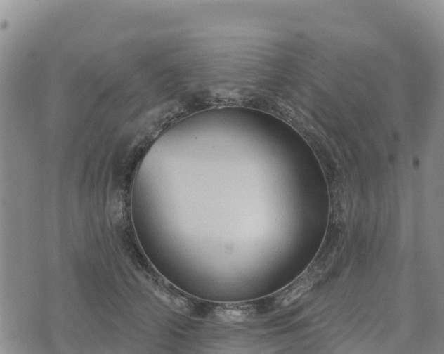 X0000074340706200609011628