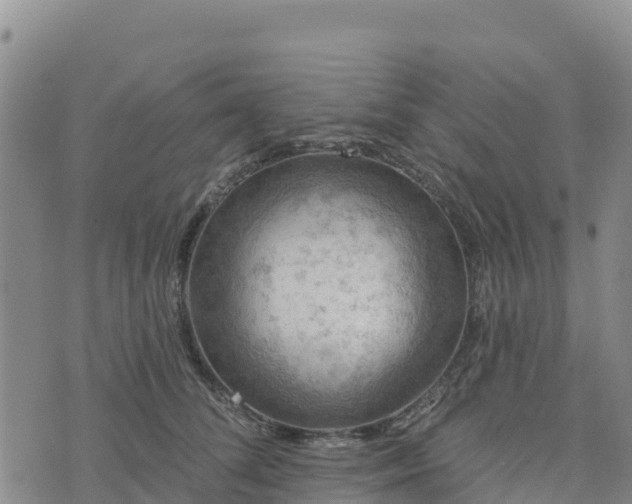 X0000074340708200609011628