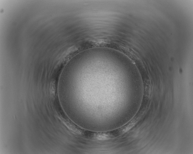 X0000074340710200609011628