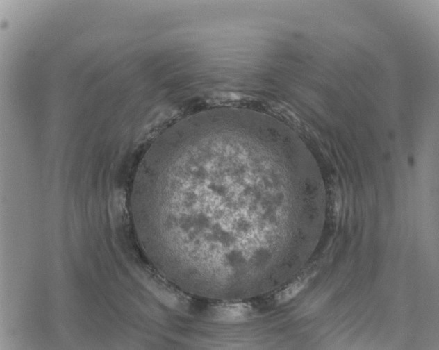 X0000074340711200609011628