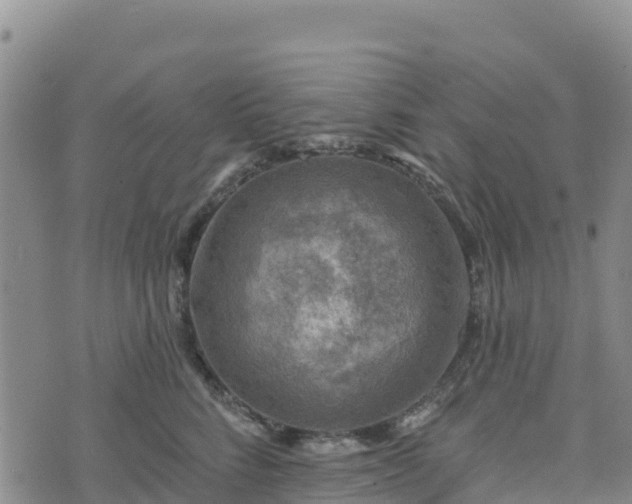 X0000074340712200609011628