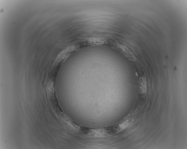 X0000074340713200609011628