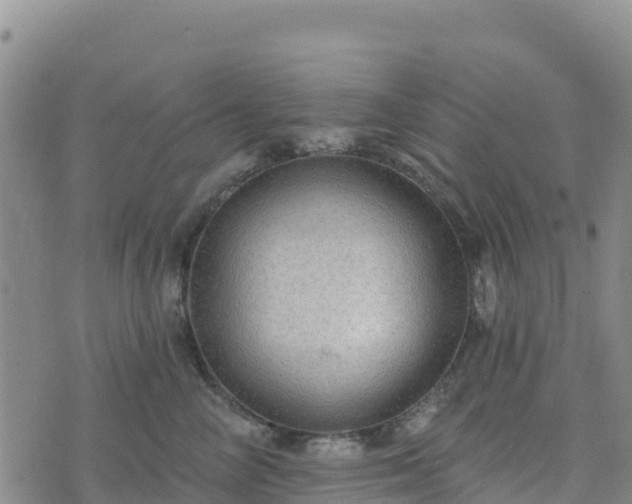 X0000074340714200609011628