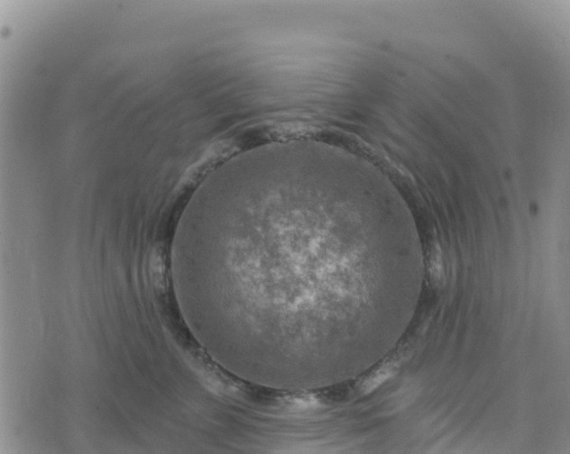 X0000074340715200609011628