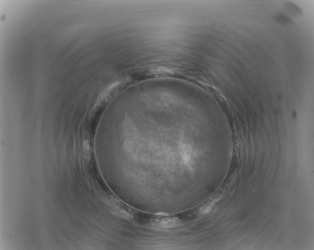 X0000074340716200609011628