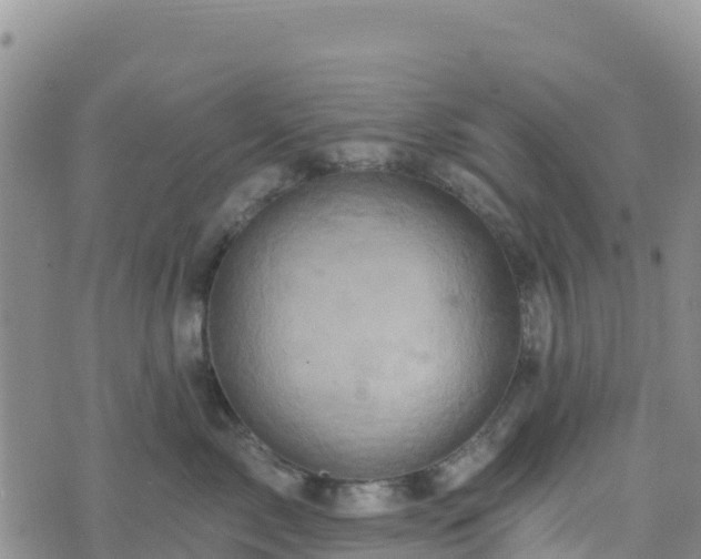 X0000074340717200609011628