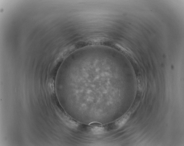 X0000074340718200609011628