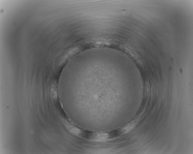 X0000074340719200609011628