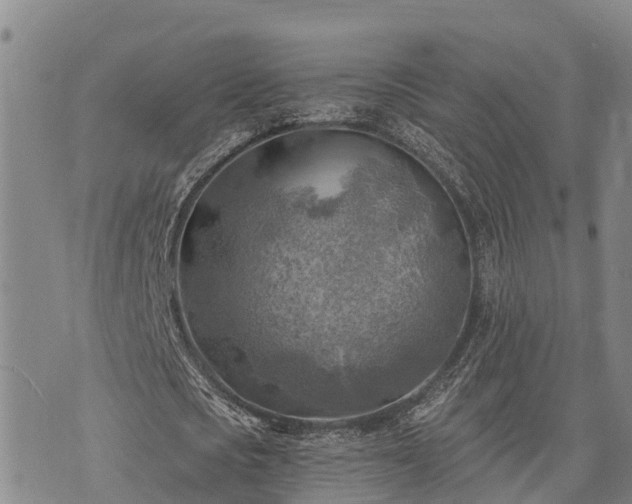 X0000074340721200609011627