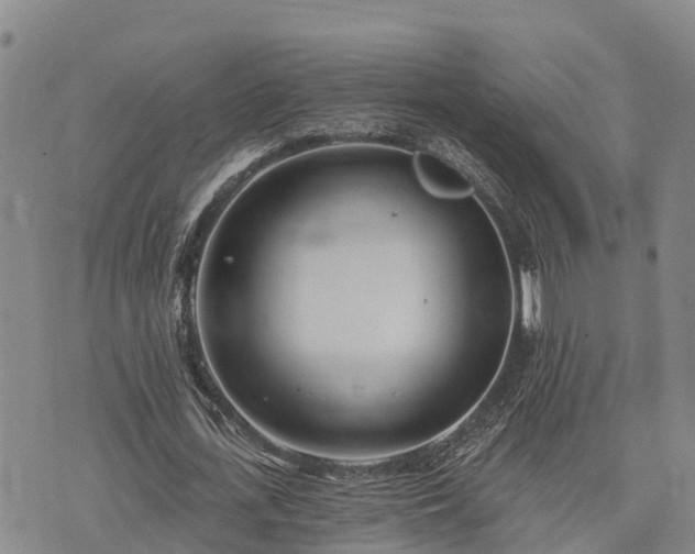 X0000074340723200609011627