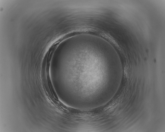 X0000074340724200609011627